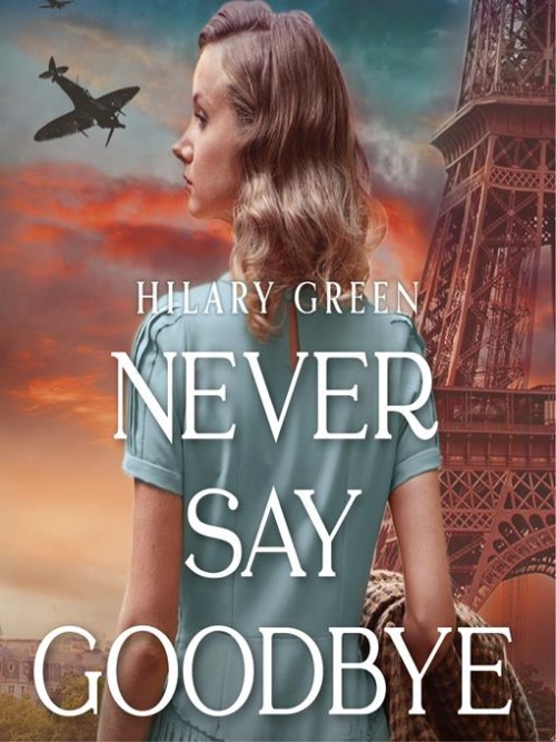 Never Say Goodbye Cover
