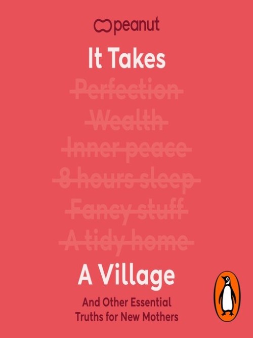 It Takes a Village Cover