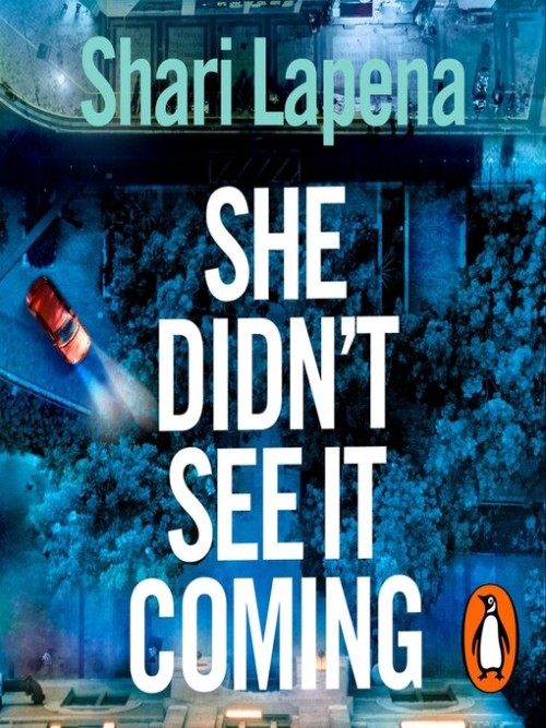 She Didn't See It Coming Cover