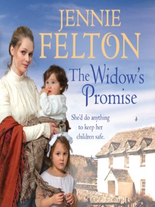The Widow's Promise Cover