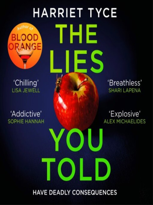 The Lies You Told Cover