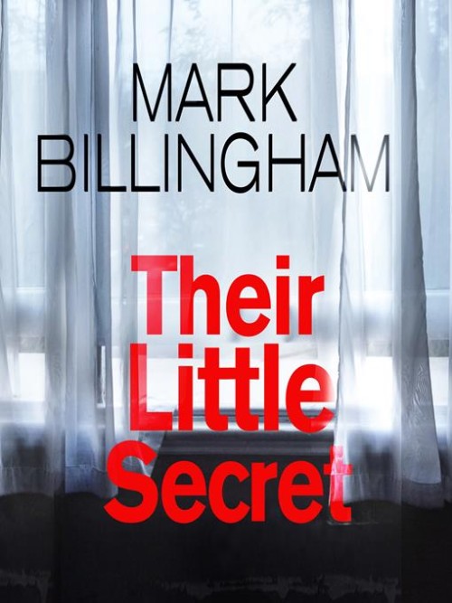 Their Little Secret Cover