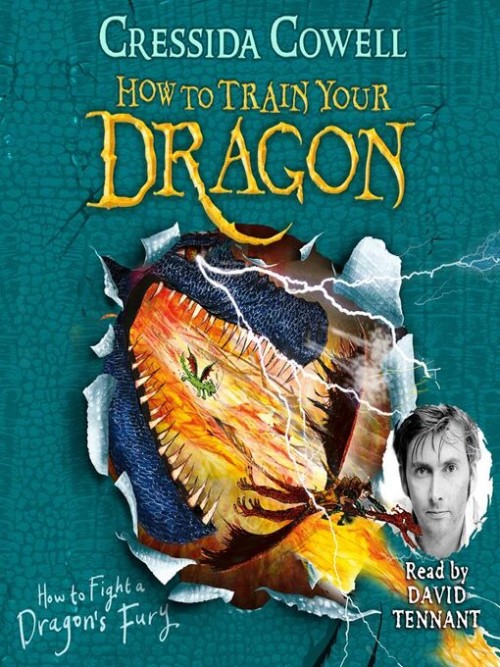 How to Fight a Dragon's Fury Cover