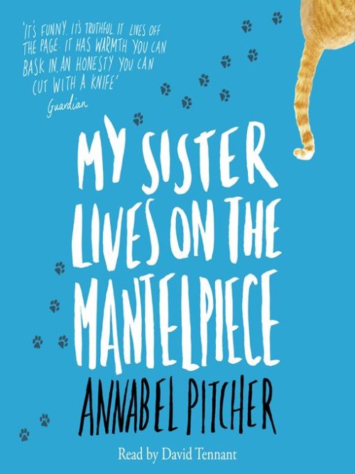 My Sister Lives on the Mantelpiece Cover