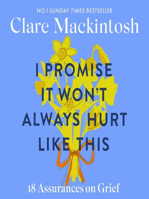 I Promise It Won't Always Hurt Like This Cover