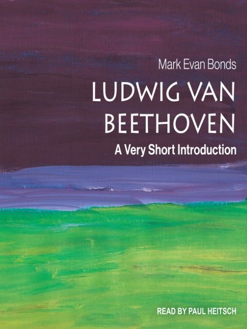 Ludwig van Beethoven Cover