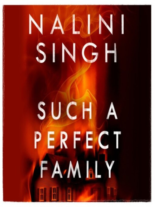 Such a Perfect Family Cover