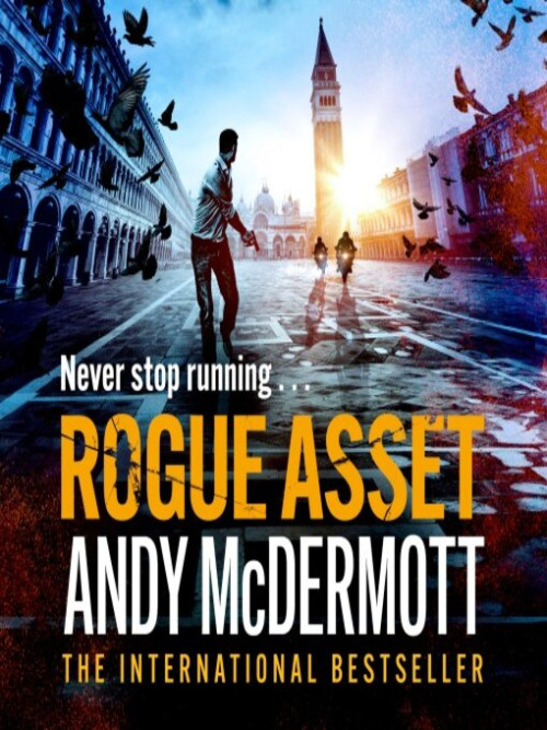 Rogue Asset Cover