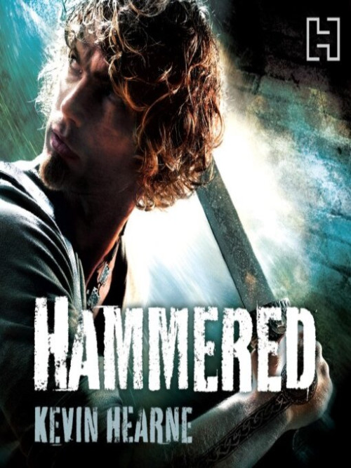 Hammered Cover