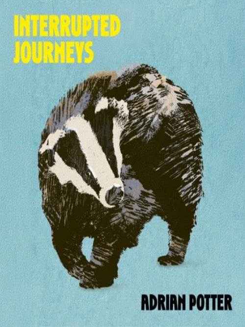 Interrupted Journeys Cover