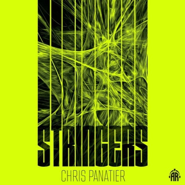 Book cover of Stringers by Chris Panatier