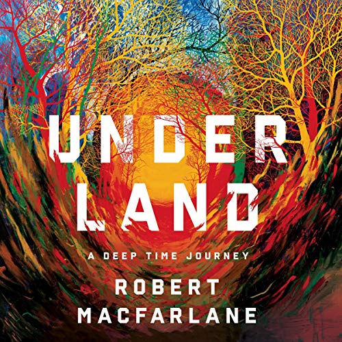 The audiobook cover of Underland, which is a multicoloured illustration of trees on either side of a path.