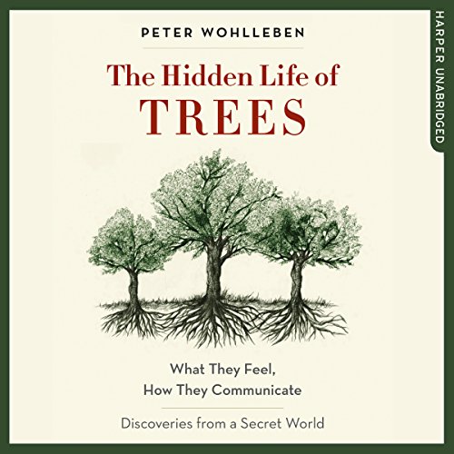 The audiobook cover of The Secret Life of Trees which has a small illustration of three trees including the roots, branches and leaves